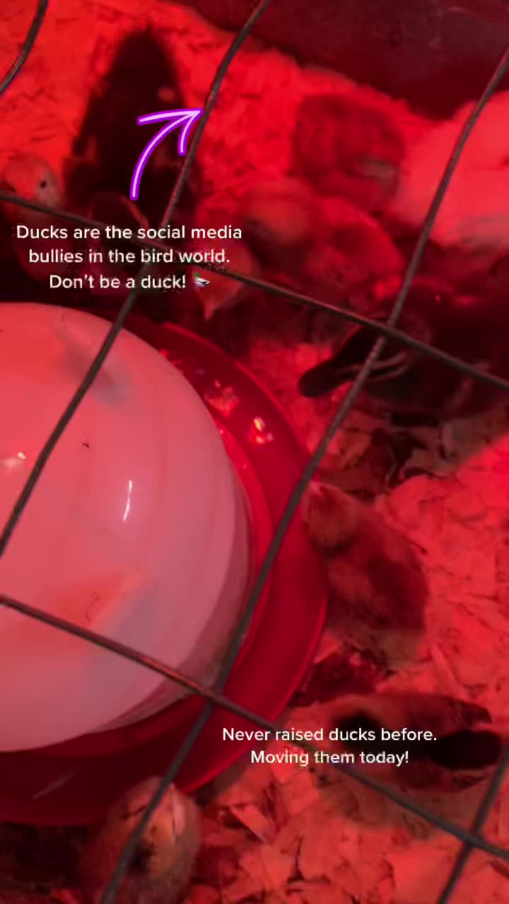 @Total_Farm