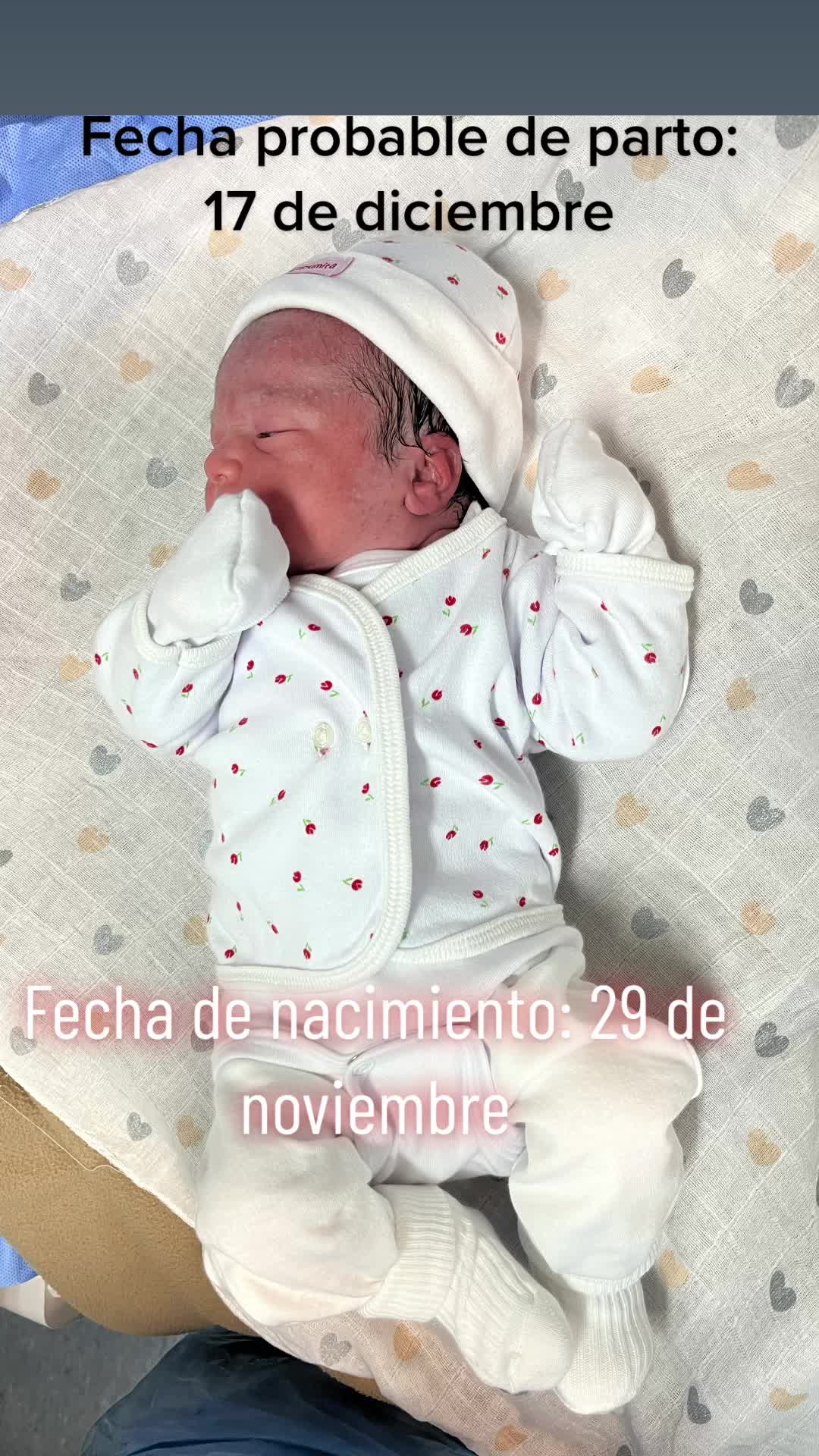@Lissette Stuardo