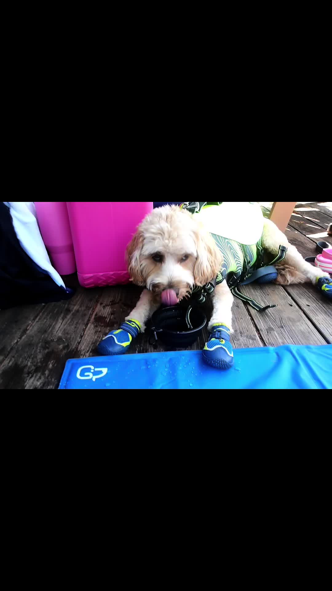 @Nood the Dood
