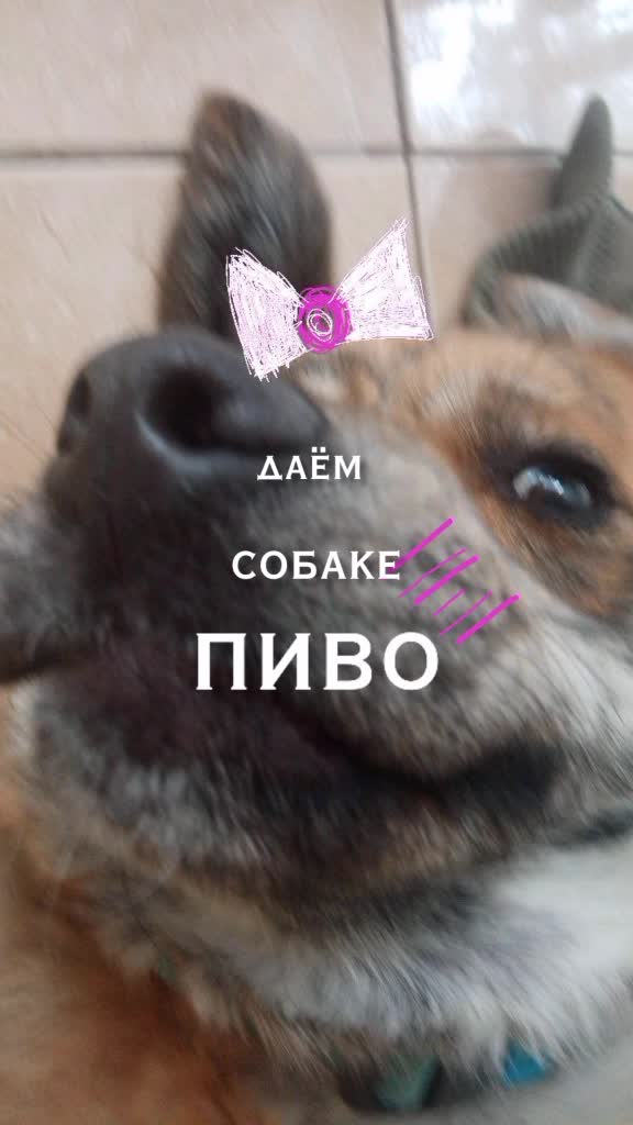 @Тигрёнок🤫