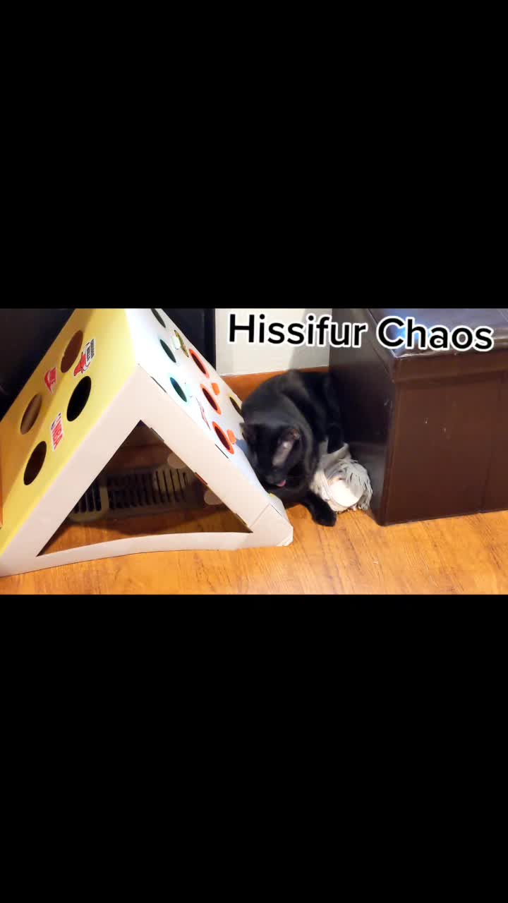 @Kitty Bouhktin