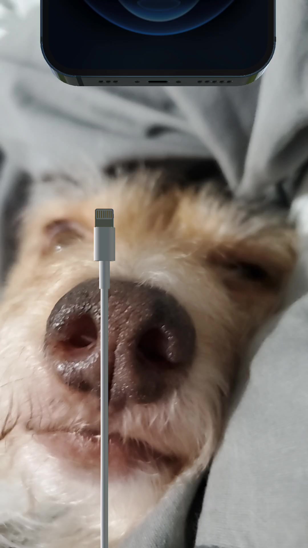 @Rufus007