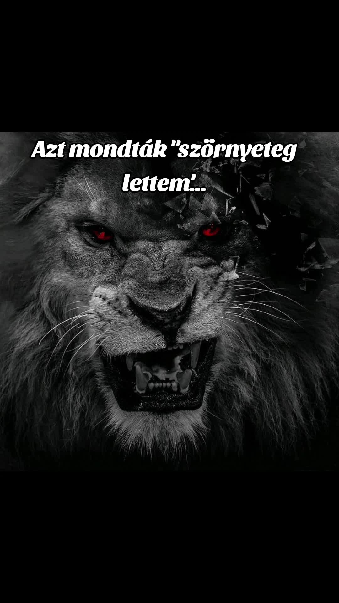 @Hegyi H. Vikt&oacute;ria L.🎰
