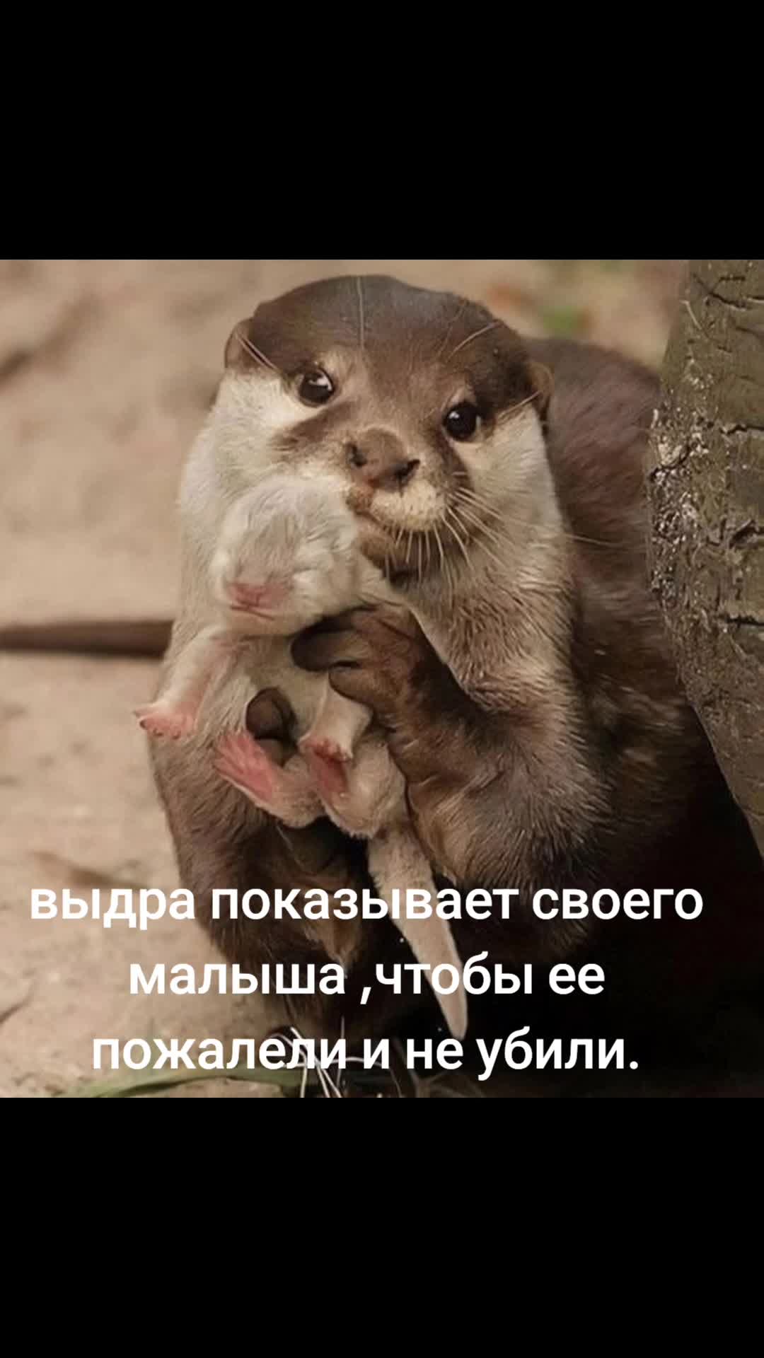 @Ljudmila
