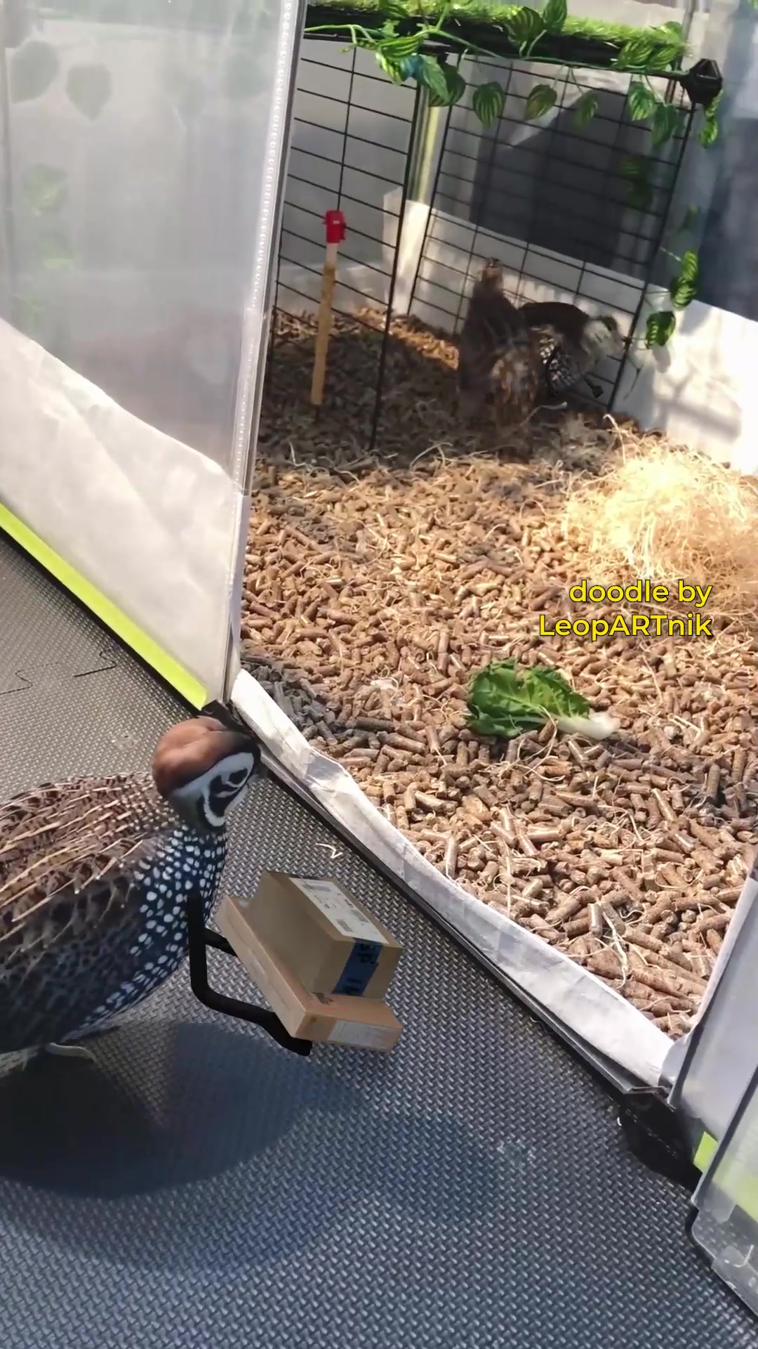 @LeopARTnik