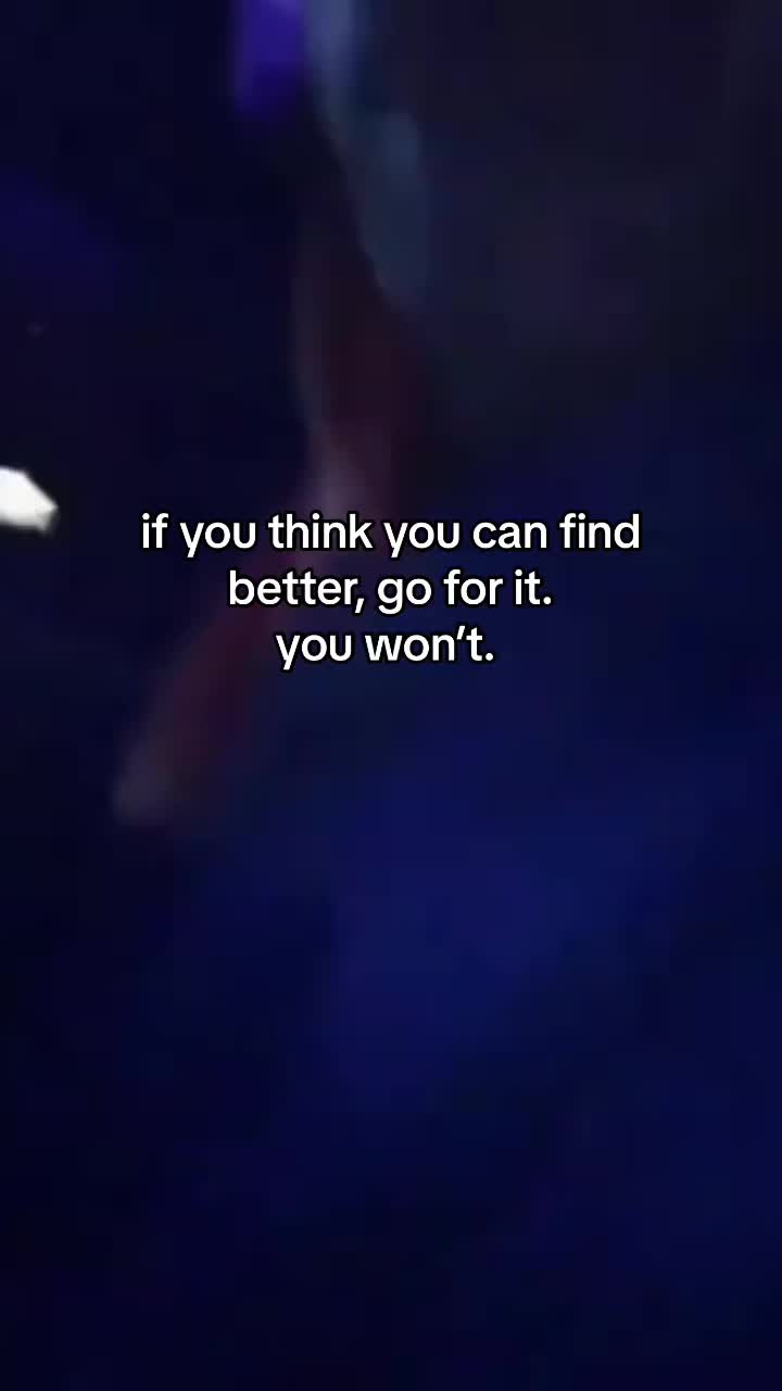 @FutureToxicQuotes