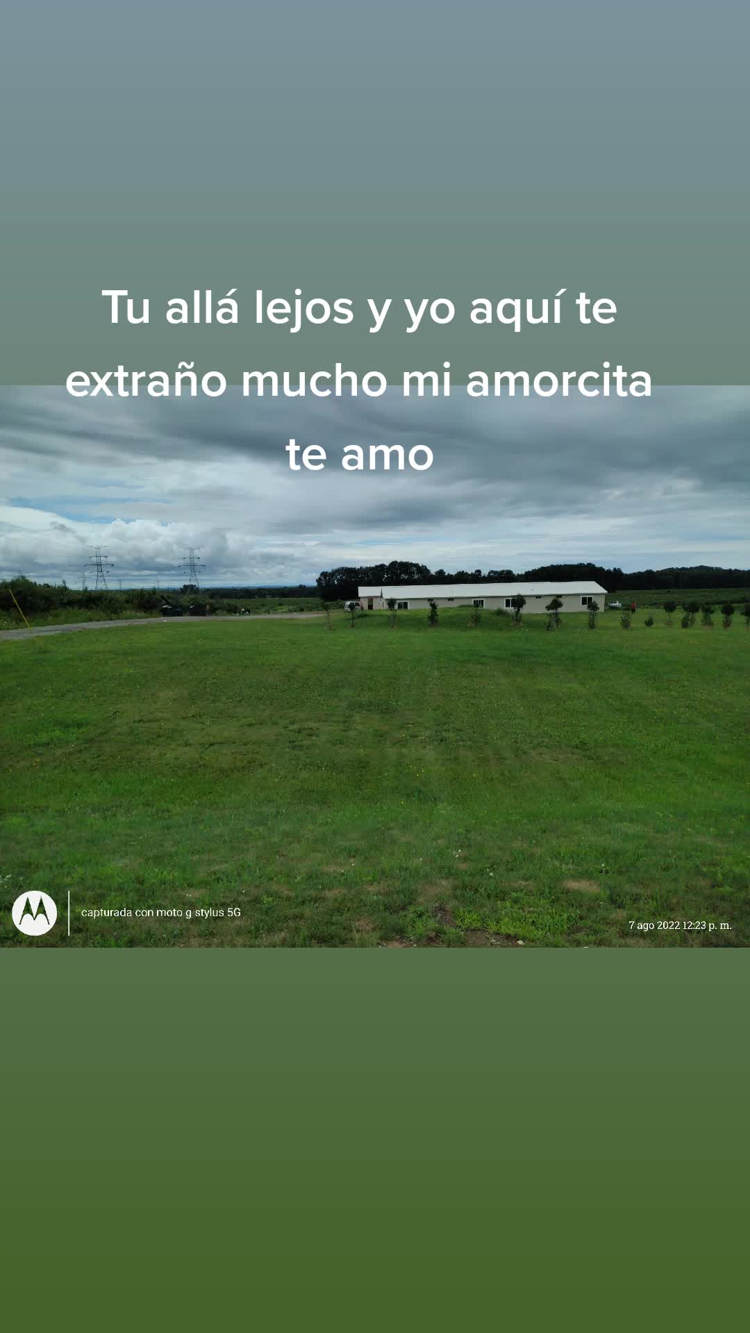 @manases