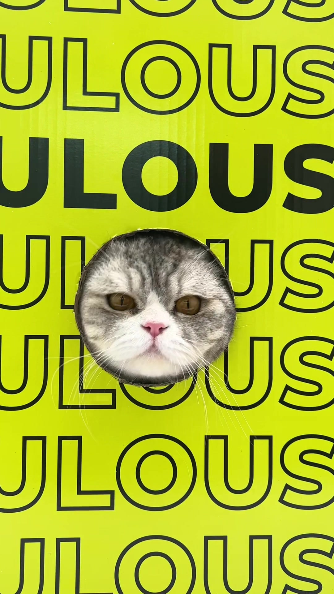 @Furbulous