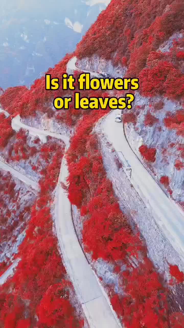 @Qmdsht999
