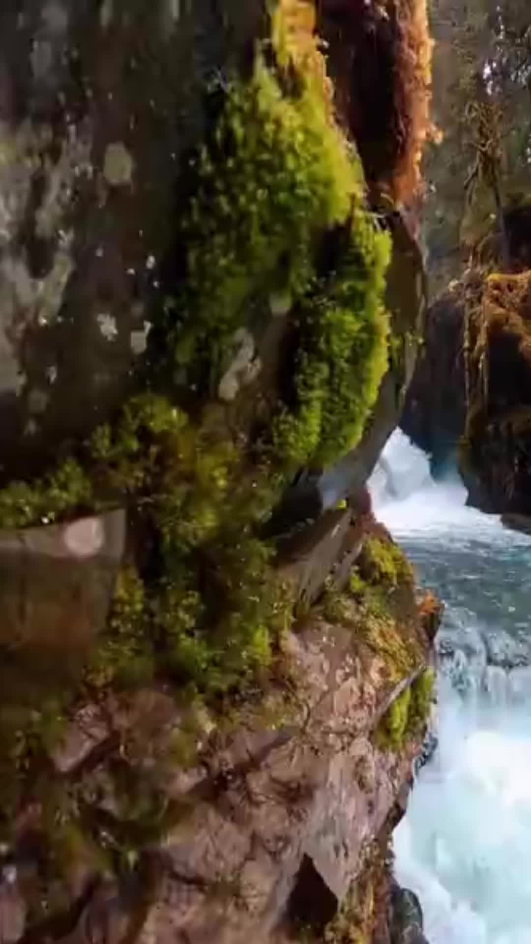 @Traveler
