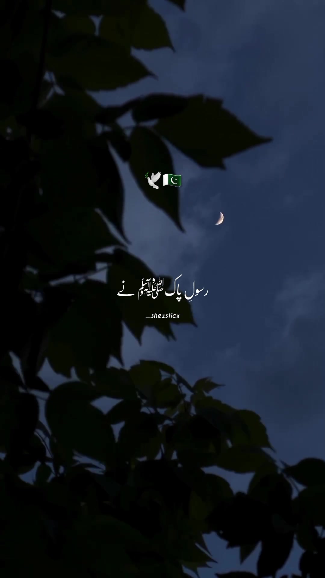 @🦋🖤