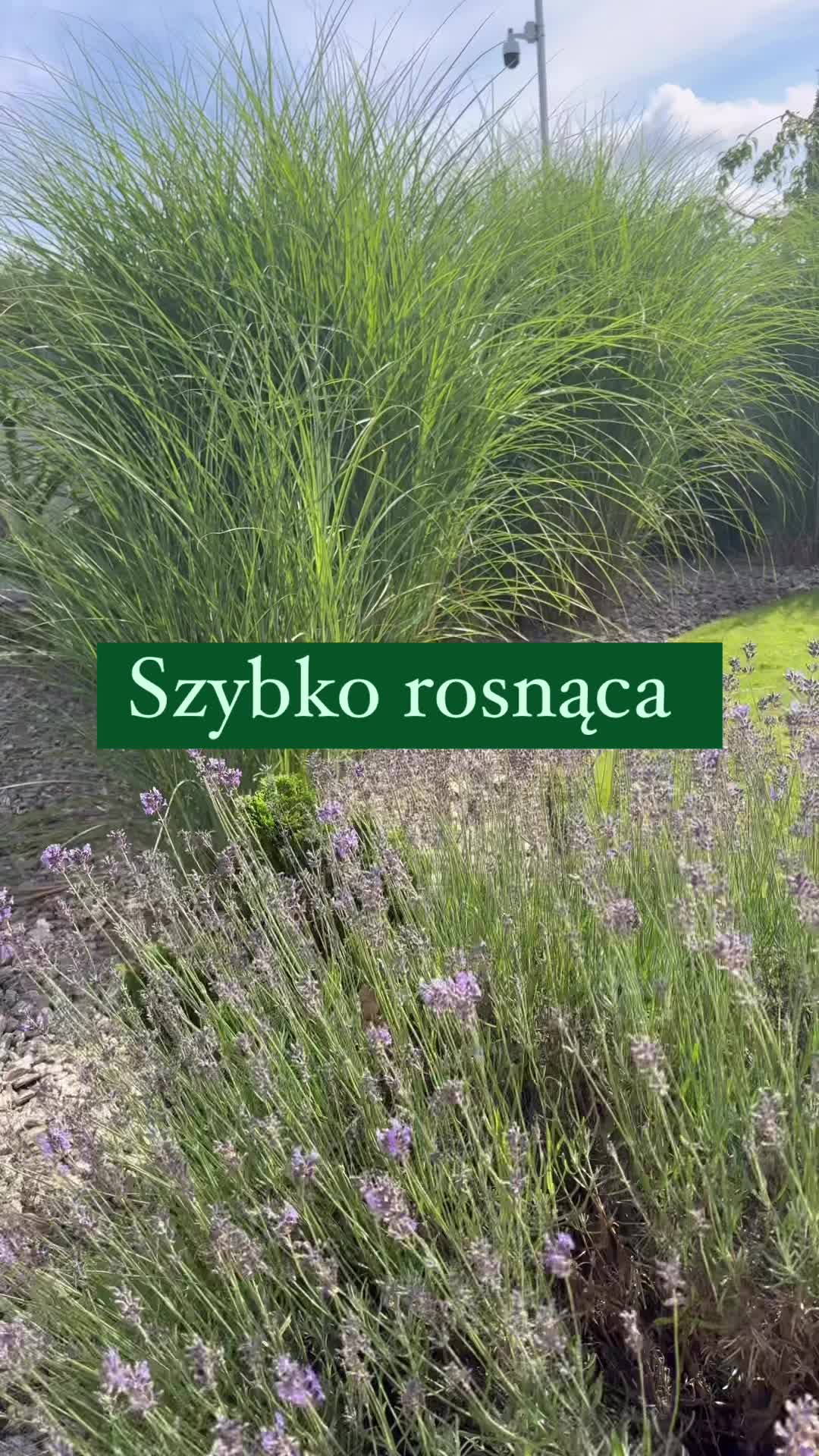 @miksza.ogrody