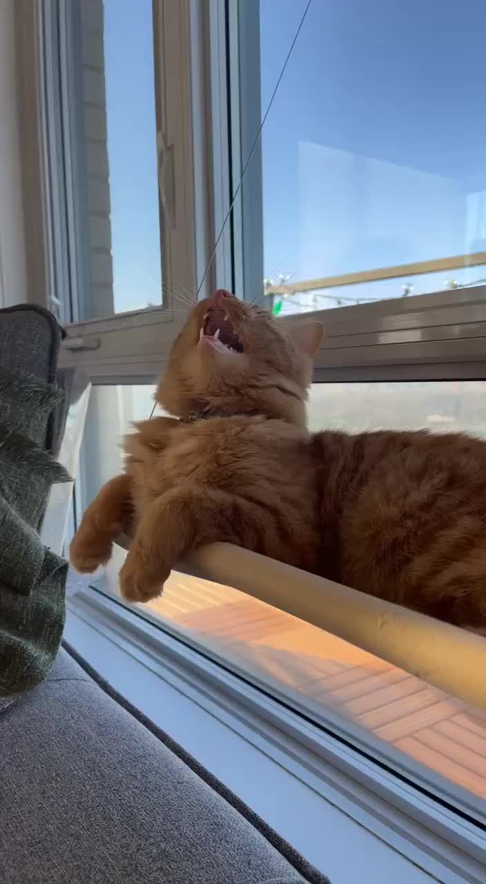 @jyeetsuschrist