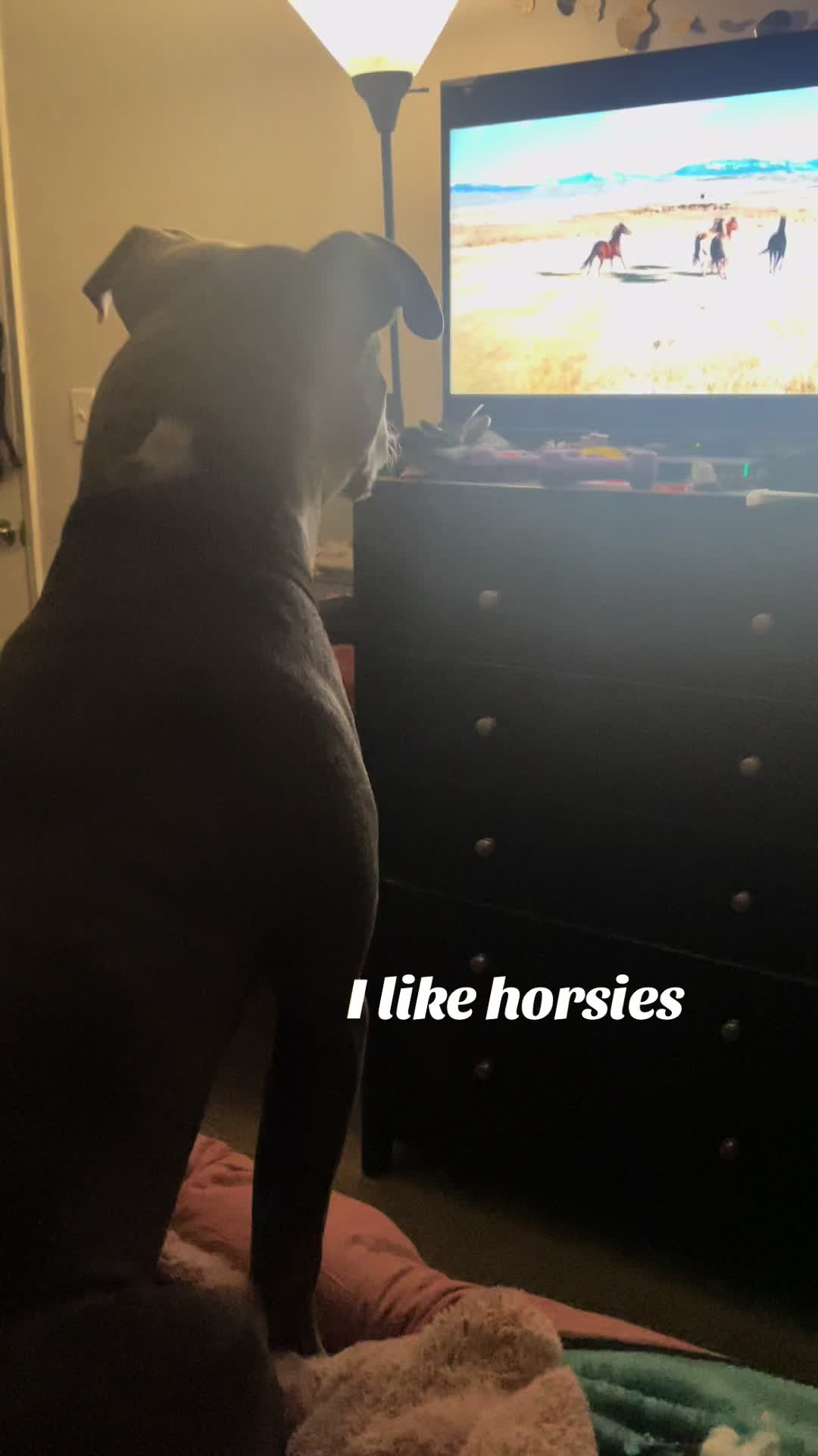 @Liza_loves_honey