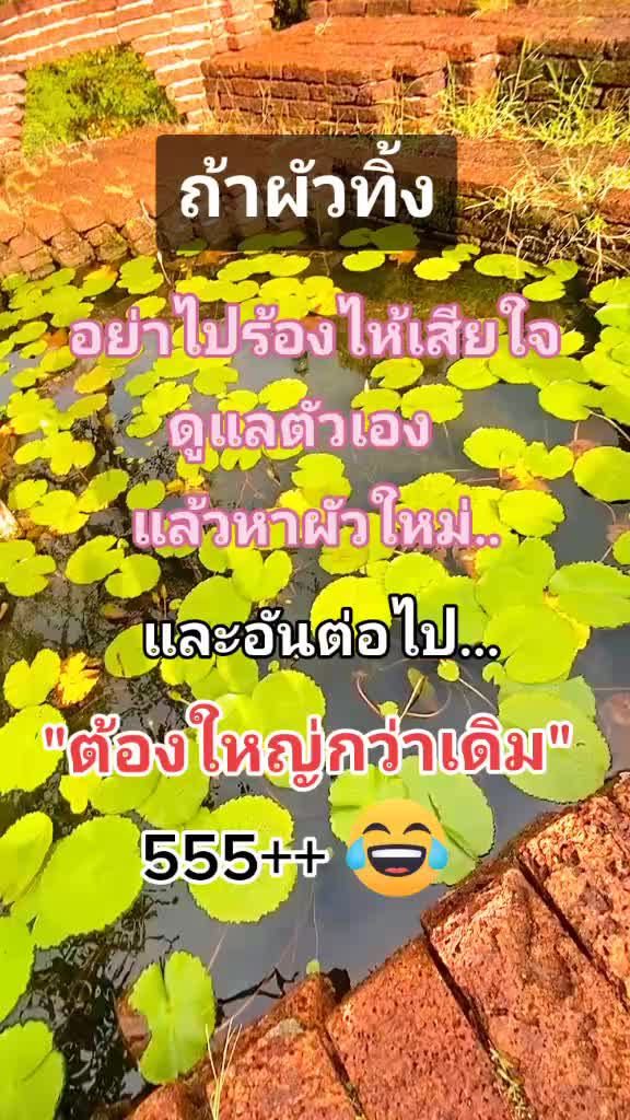 @พิมพ์ทำไม