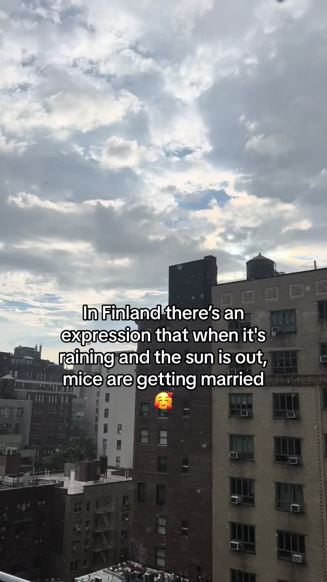 @Sofia Laurell