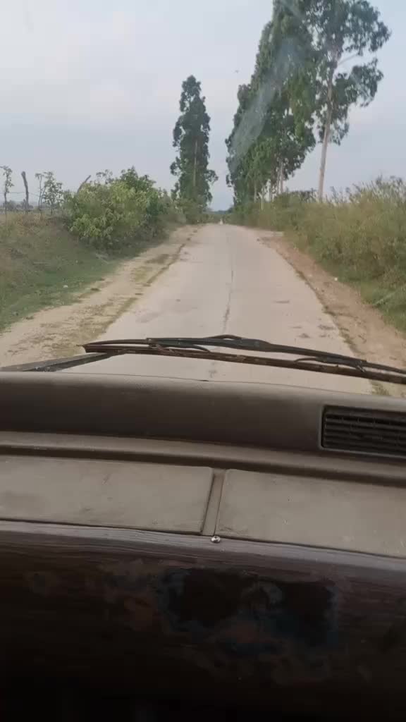 @Tho&aacute;t V&ocirc; T&igrave;nh
