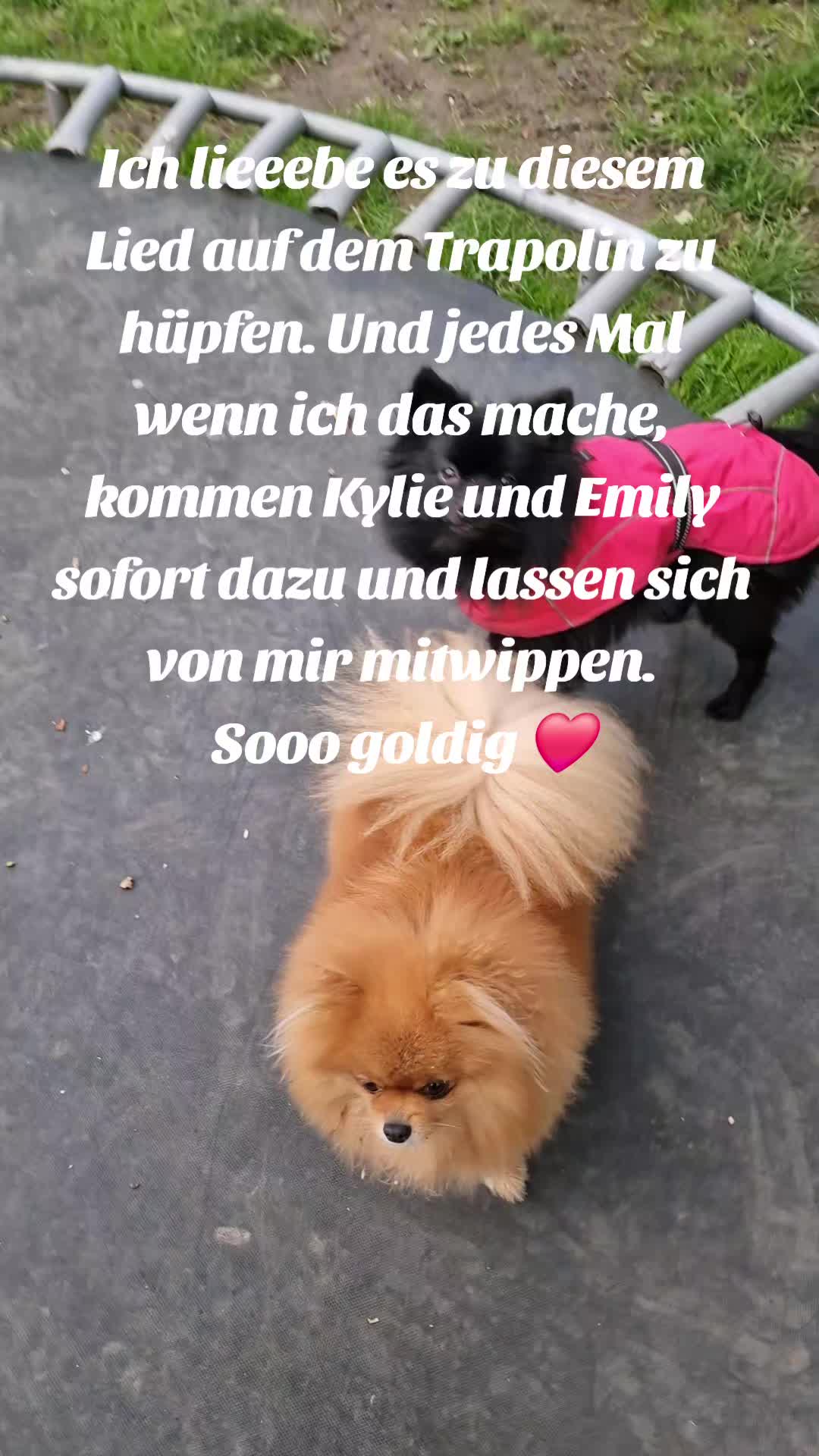 @Hitschiegang