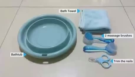 @pawsentials.store