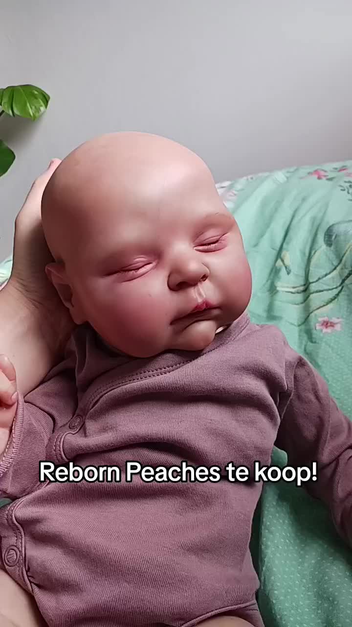 @Dutch.reborn