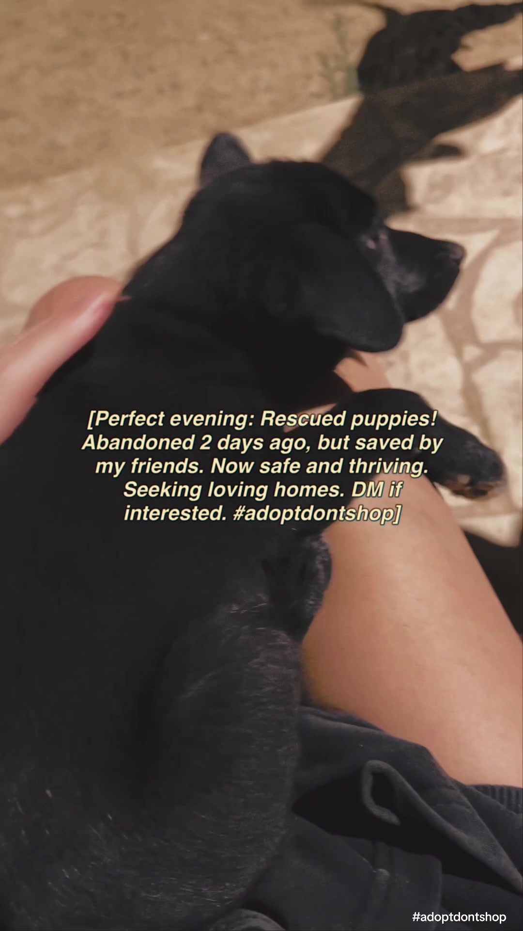 @d0seofempowerment