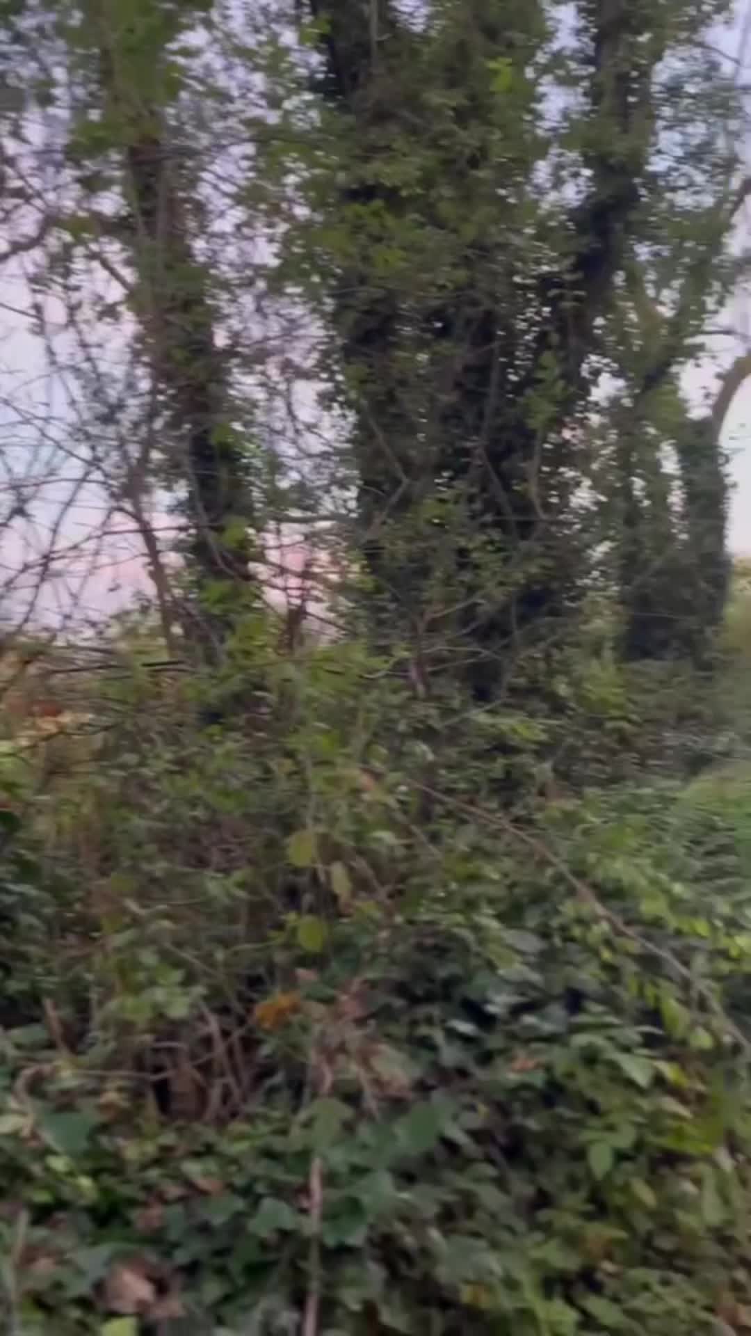 @Jackmurph73
