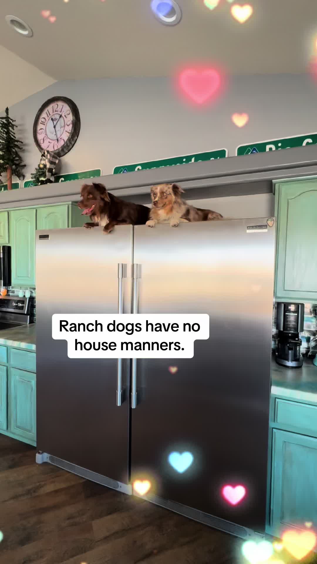 @ColoradoOutfitter