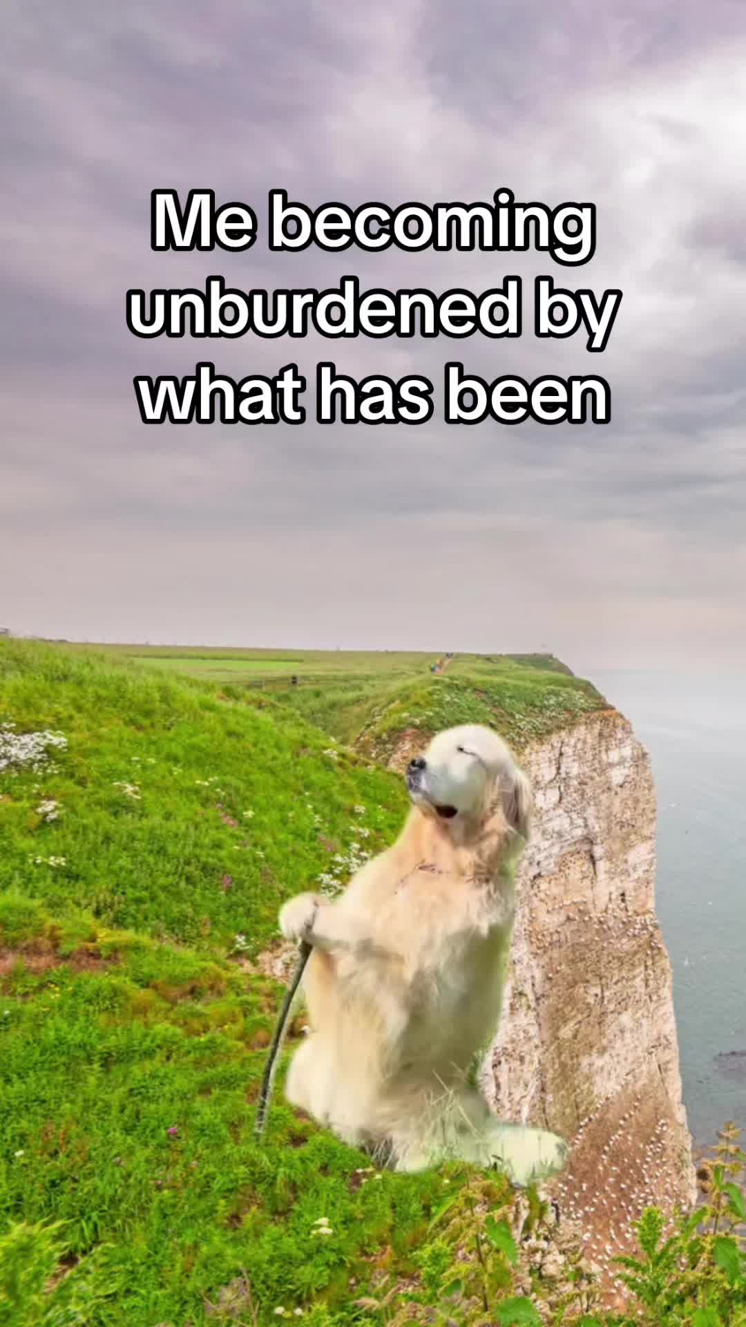 @ChesapeakePatriot