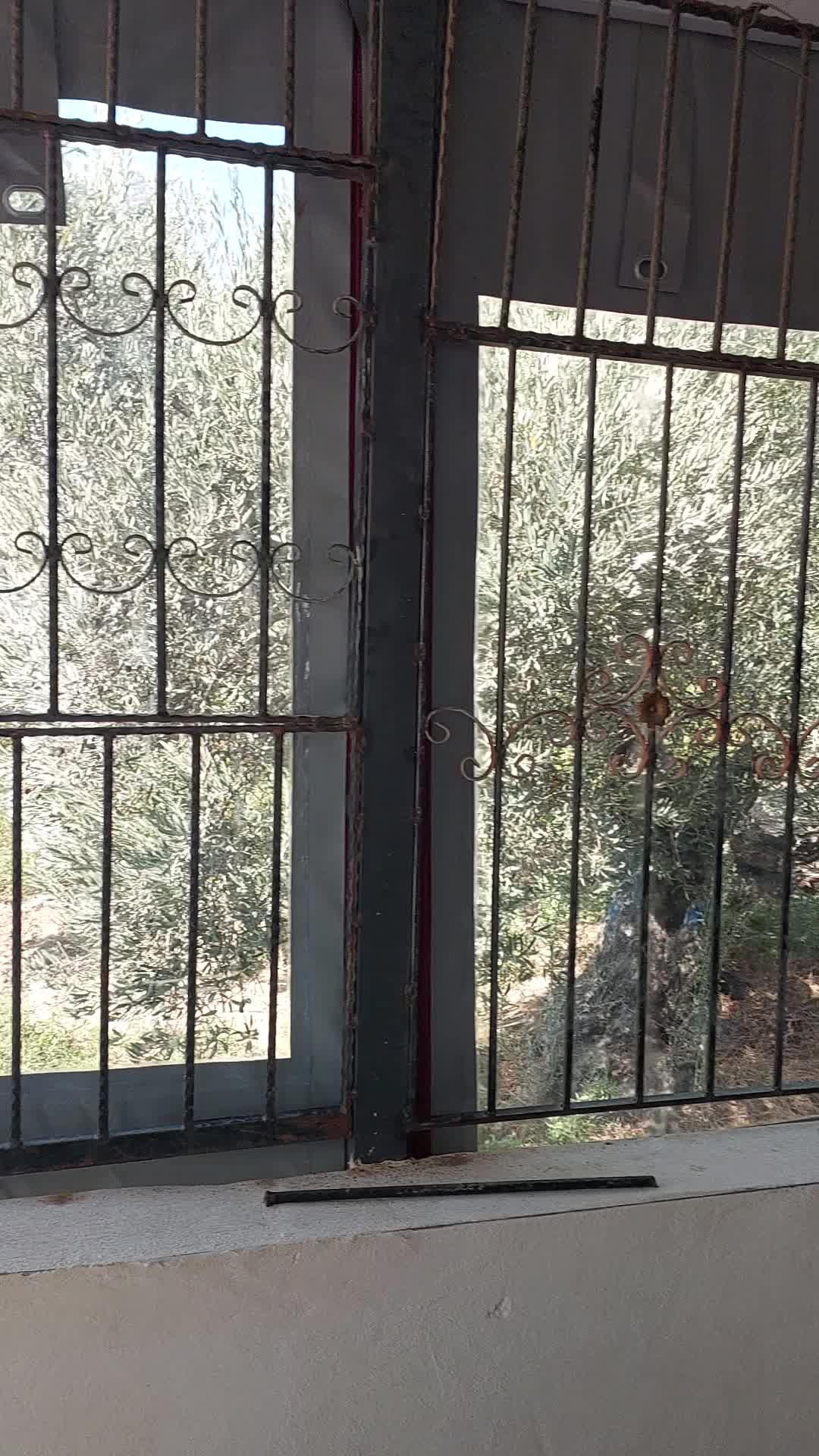 @Nasır Doğan