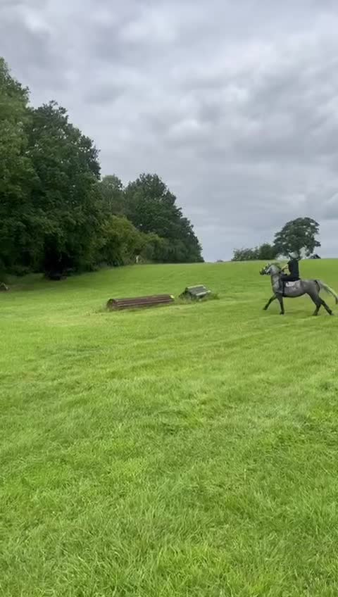 @Ruby🐴