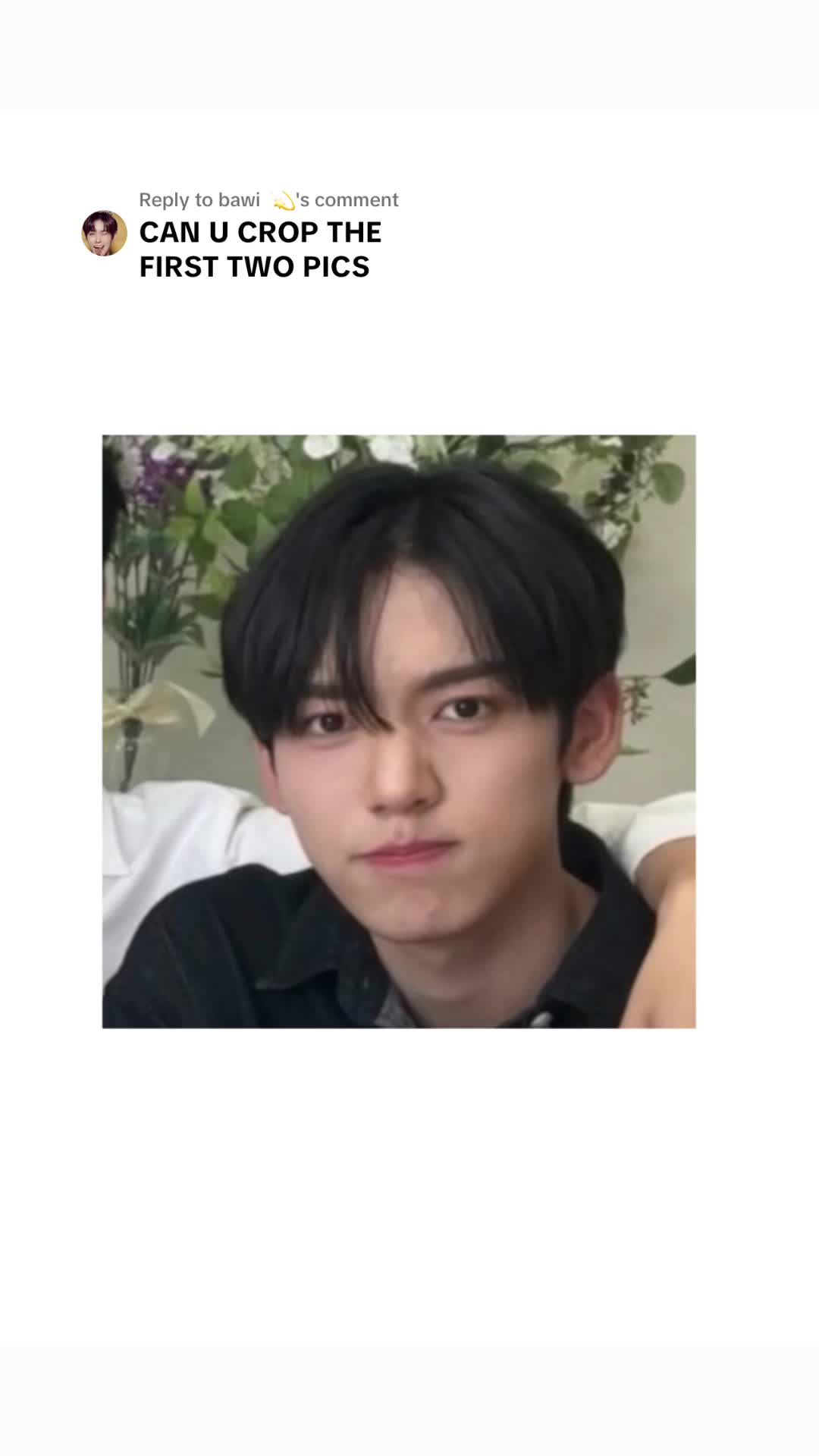 @bambi