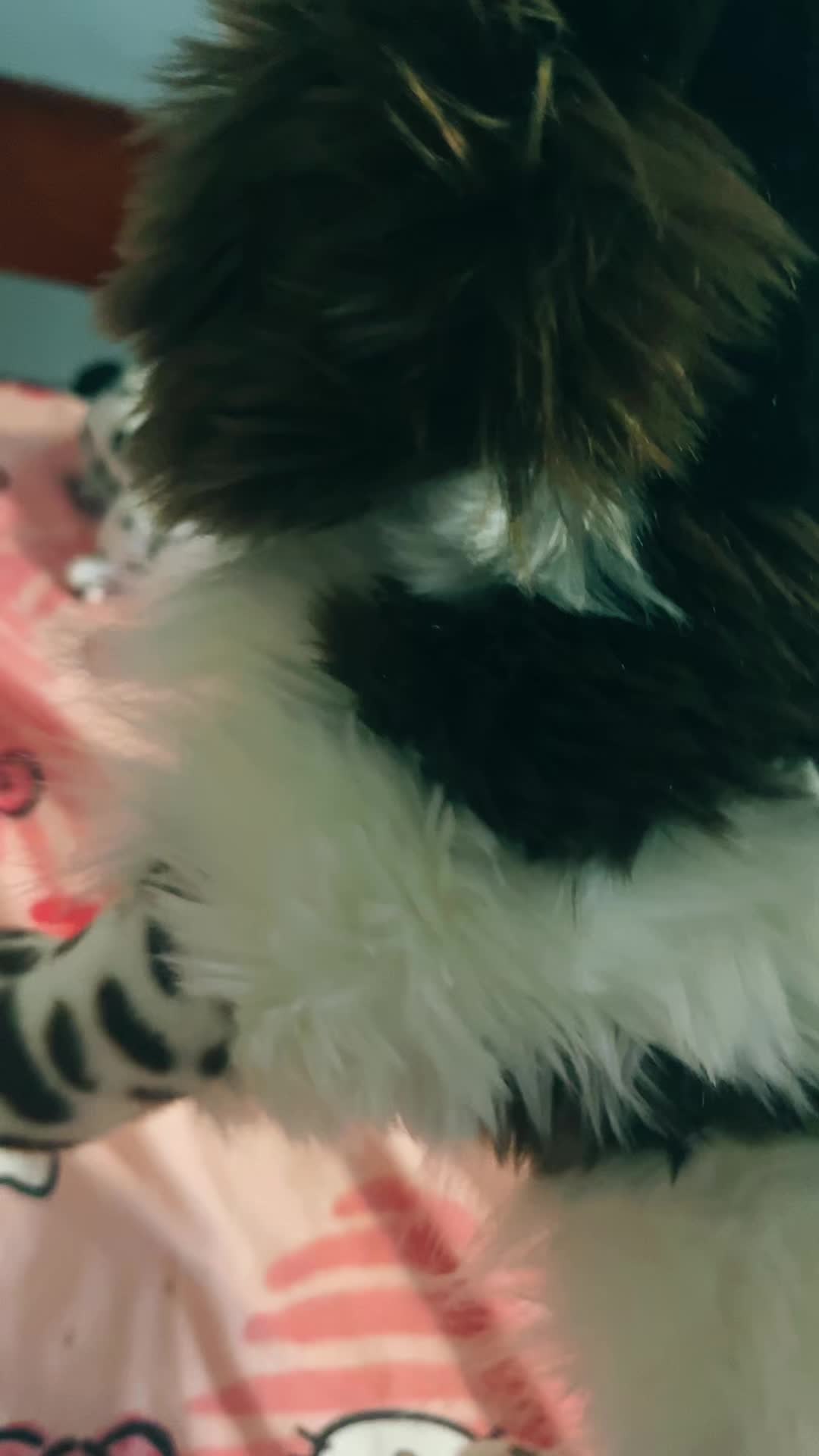@⠀&ensp;⠀&ensp;⠀&ensp;⠀&ensp;⠀&ensp;⠀