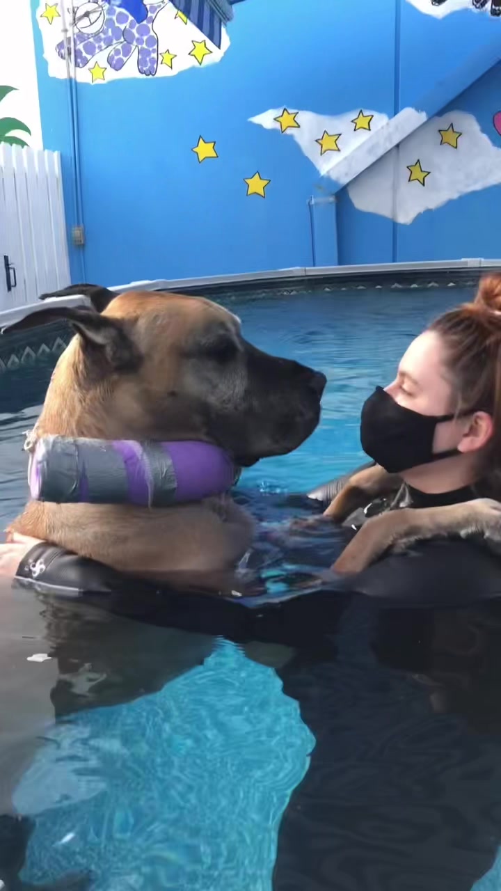 @K9 Massage & Hydrofitness