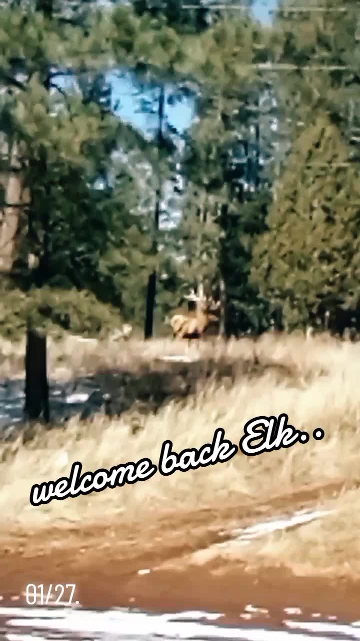 @Mr. JC 🤙😎