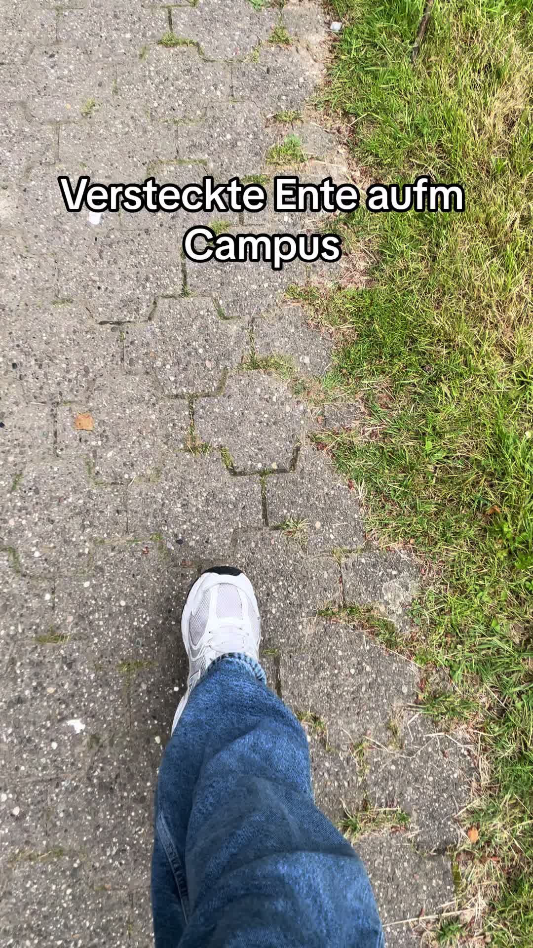 @duckseekdaily