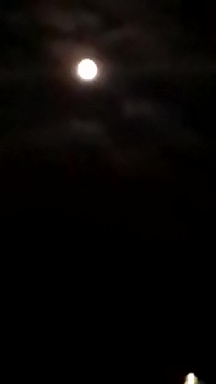 @2025