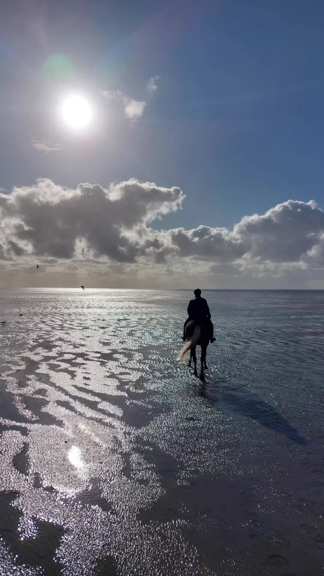 @Cora 🐴 👩🏼&zwj;🌾🐴🦄🤴🏻
