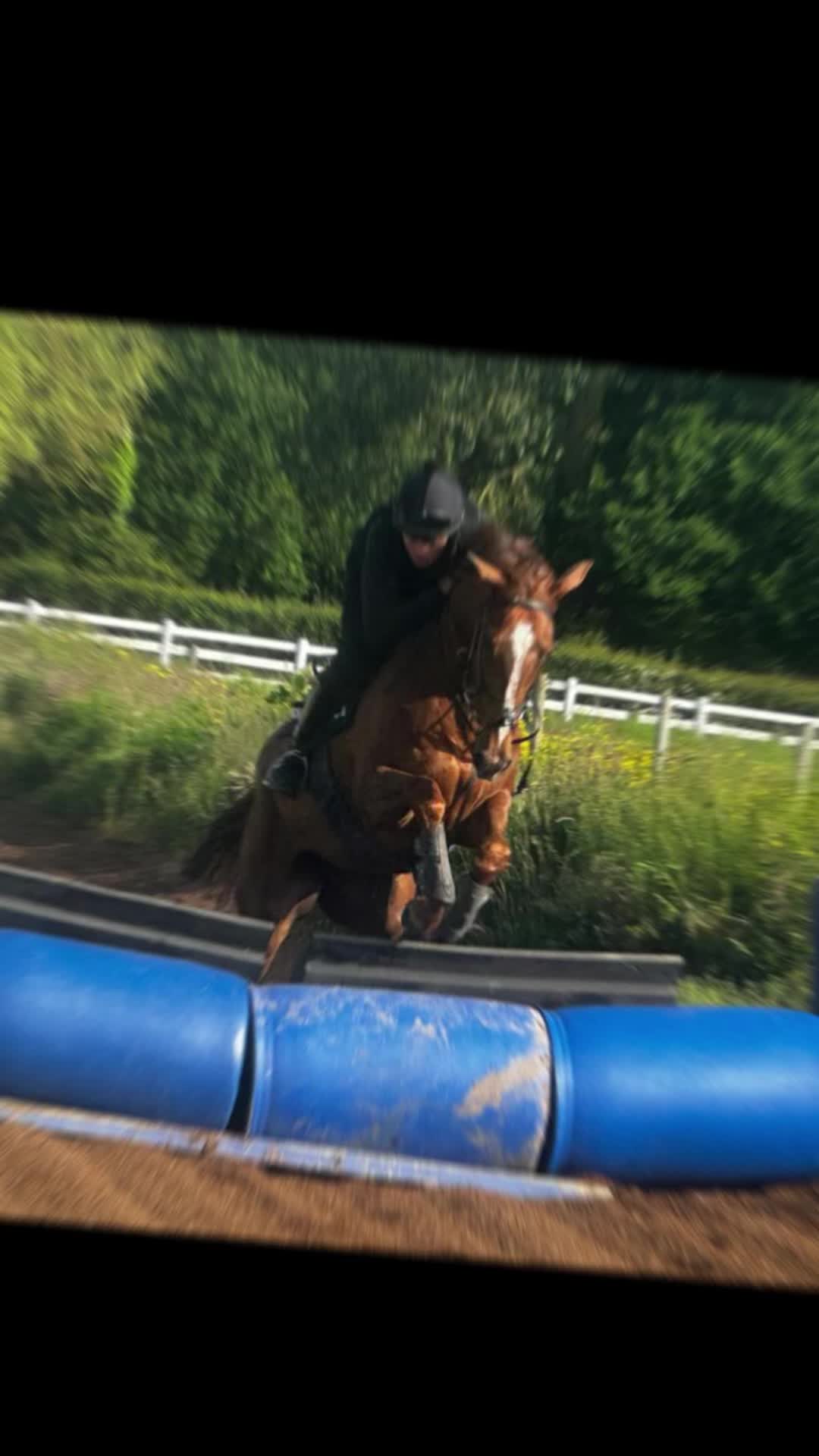 @alexdunnracing