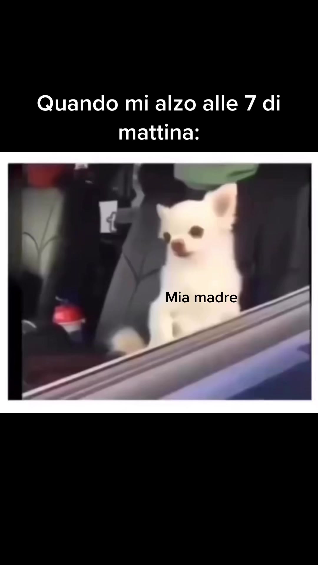 @Steeepp