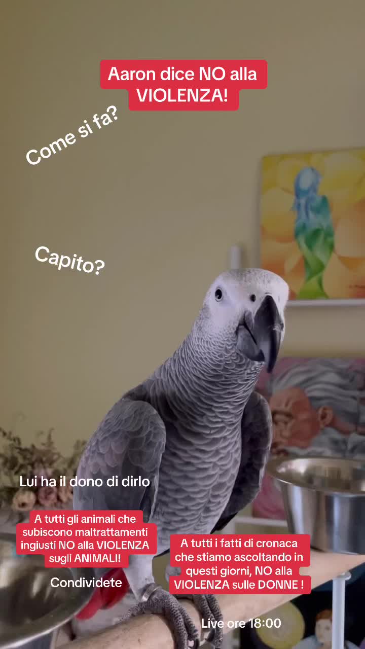 @Aaron4