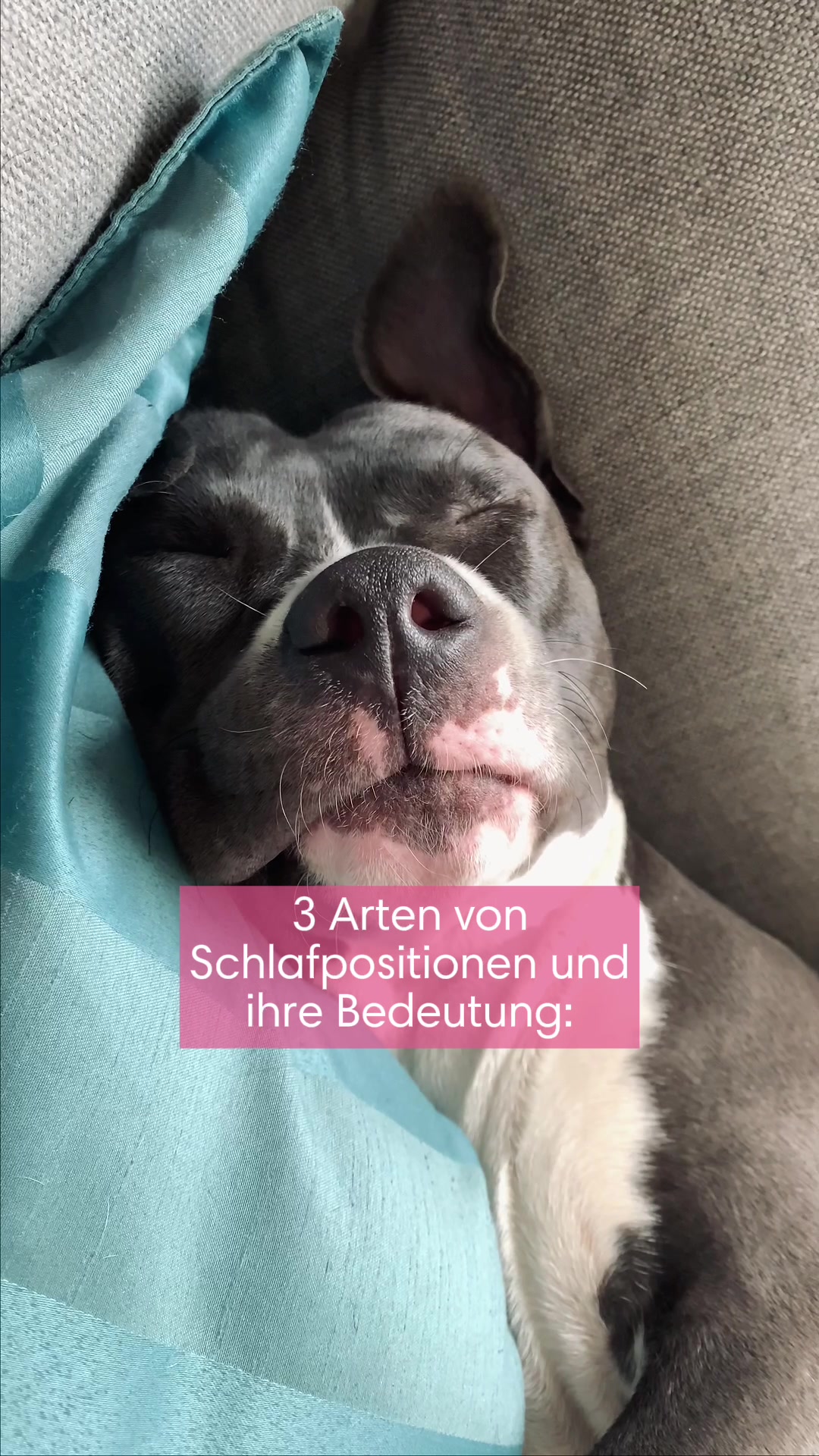 @diefutterbar