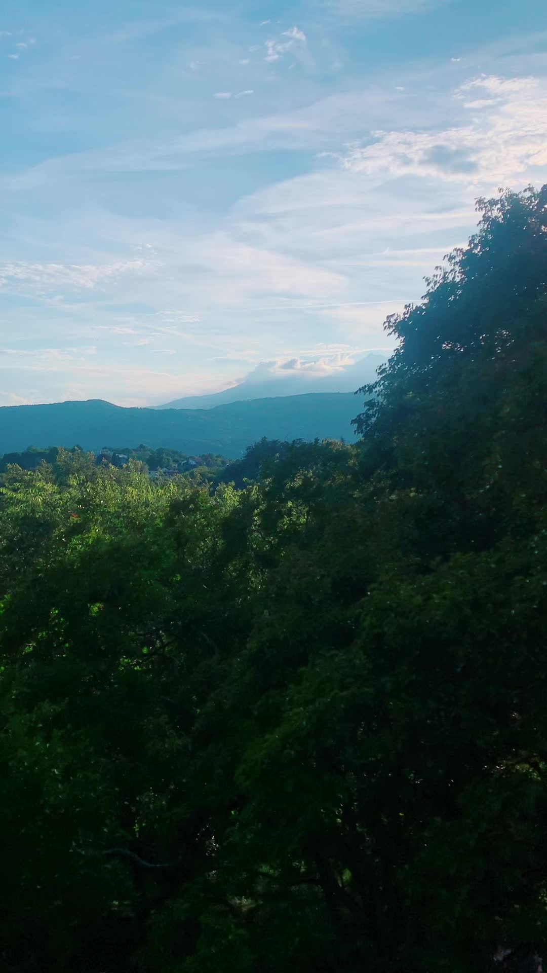 @vudubuh