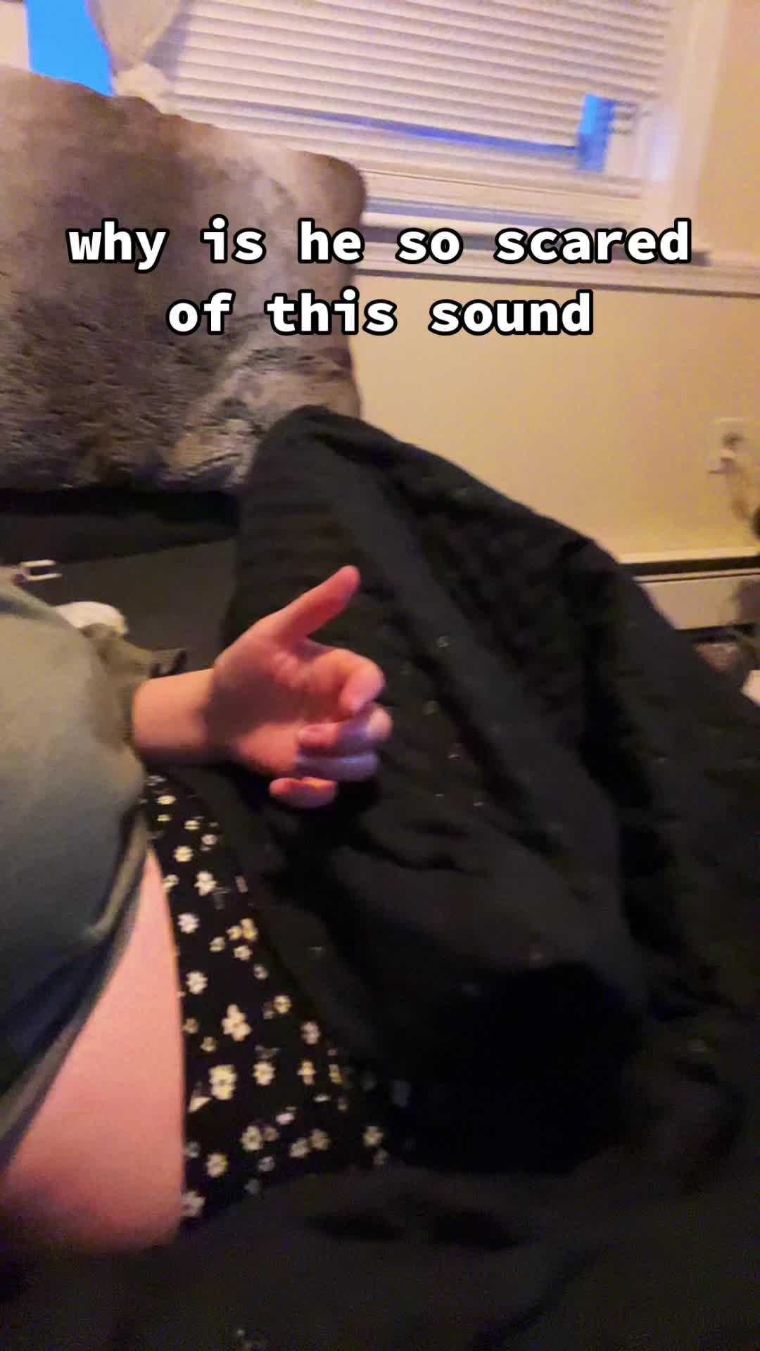 @ptvciel