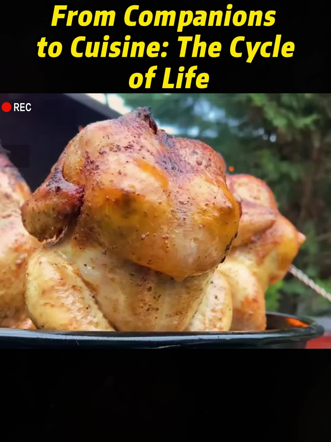 @bob👌
