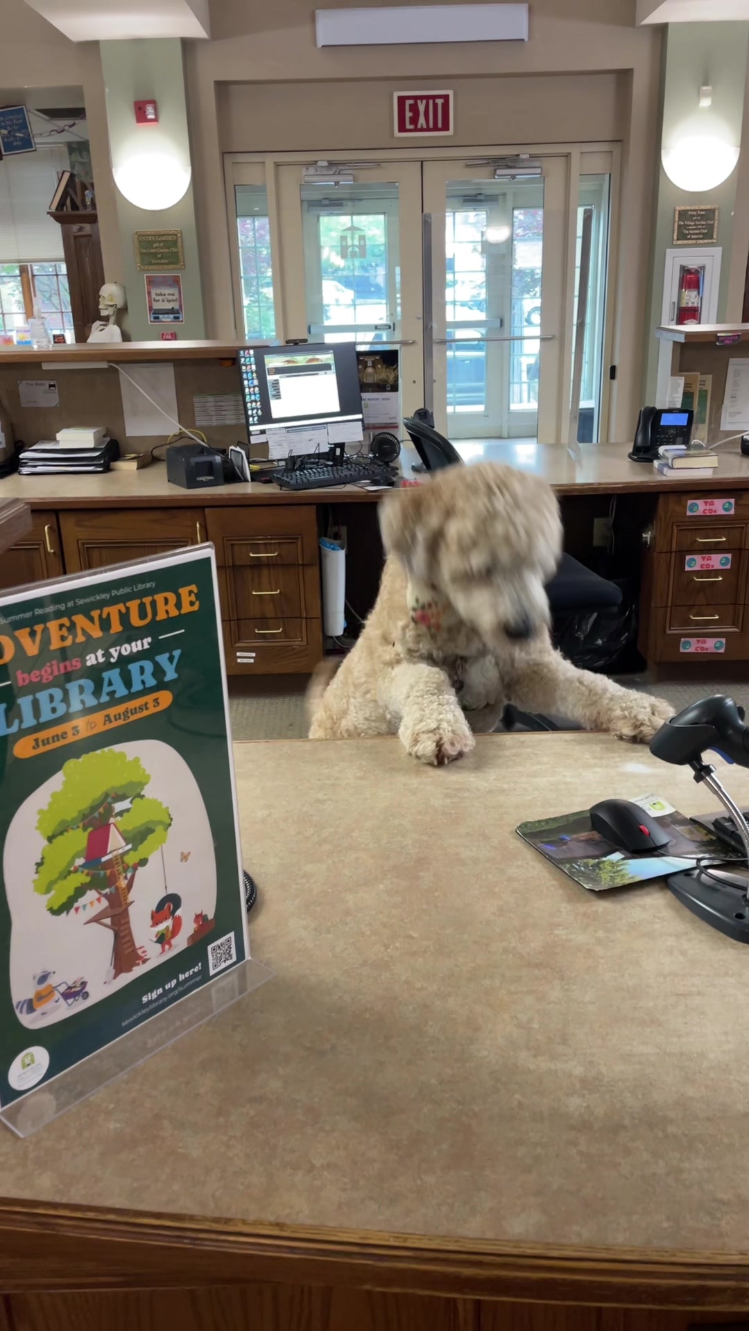 @Sewickley Public Library