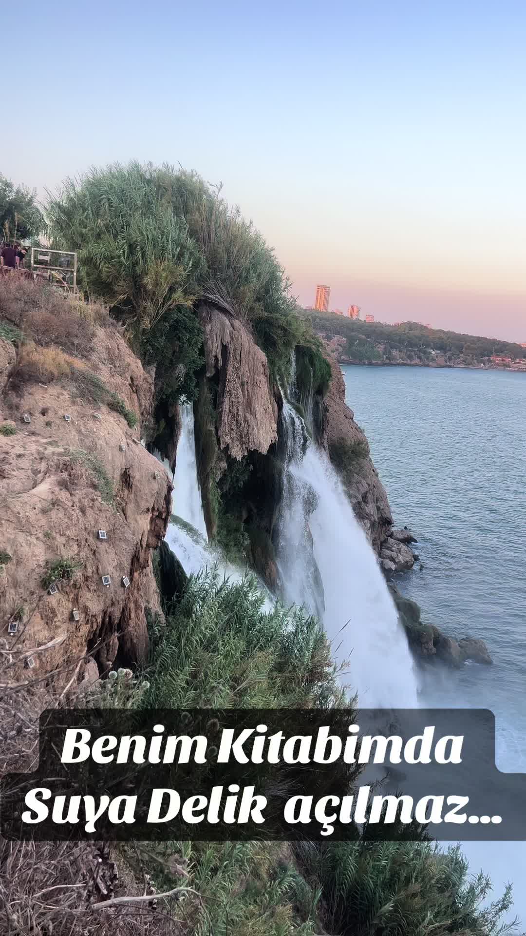 @Asya 38