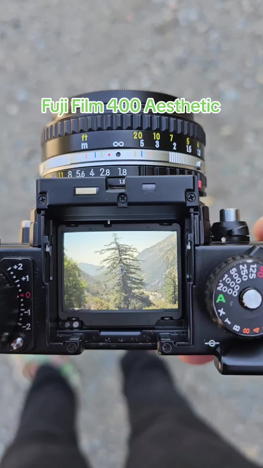 @photoQuack