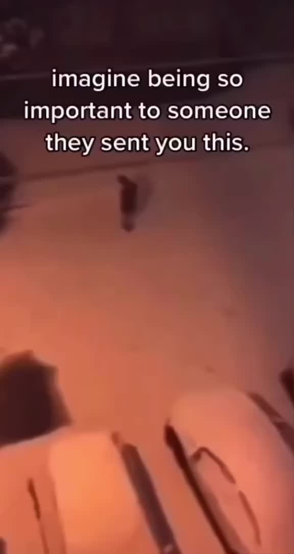 @hub._.for._.simpsss