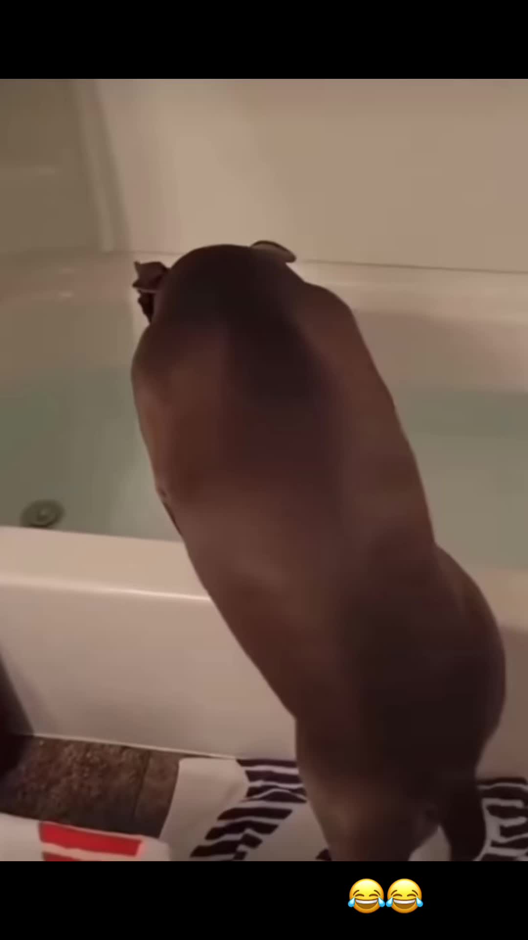 @dirtyblaktv