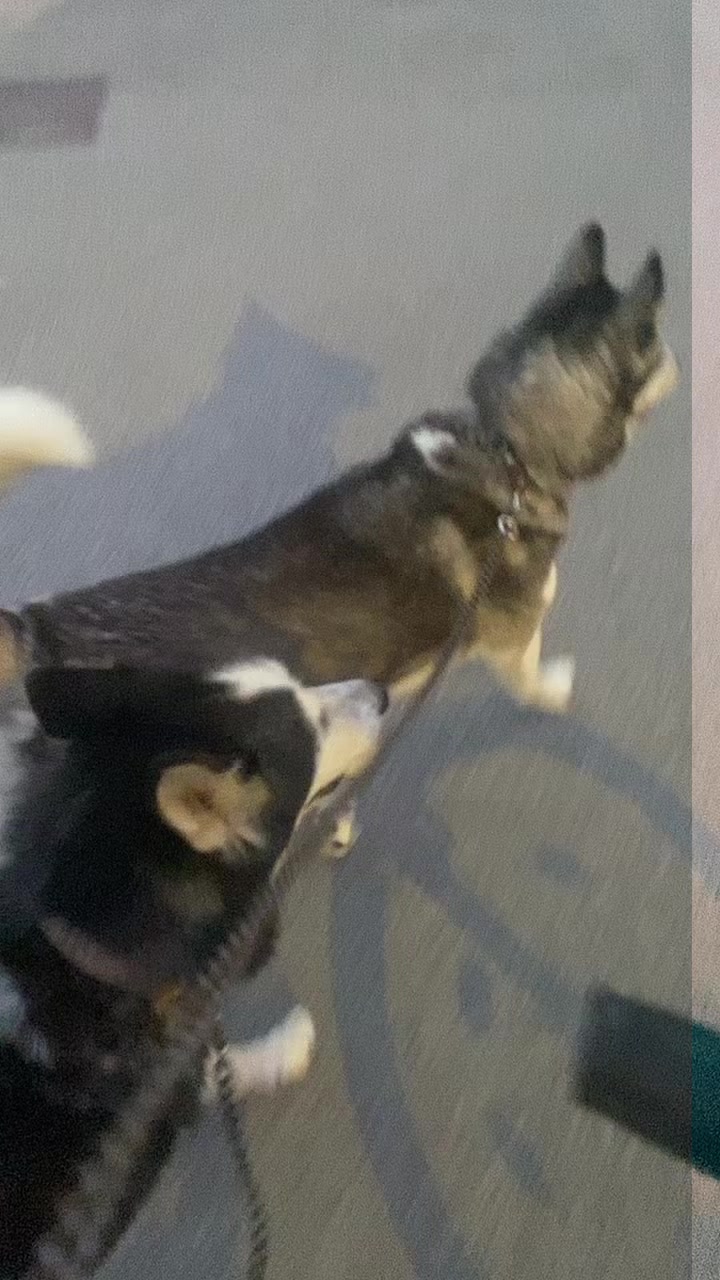 @Neli K&aacute;li, 🥰